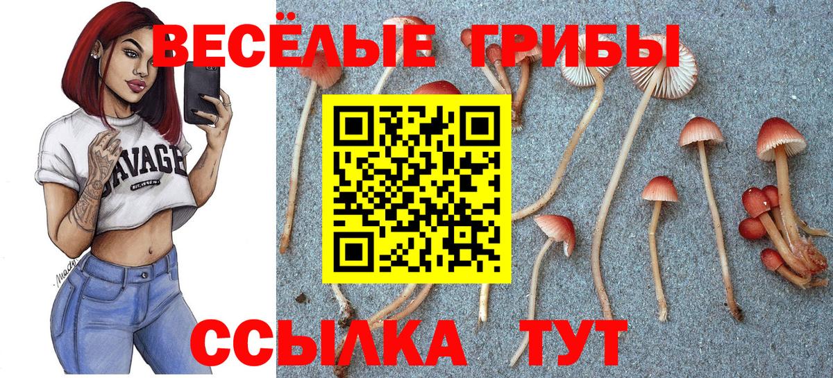 что такое   Галлюциногенные грибы мухоморы  Вход с VPN  Мурманск 