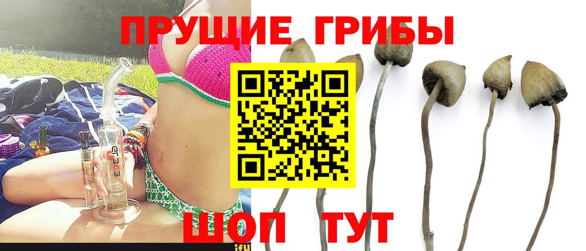 Галлюциногенные грибы Magic Shrooms Мурманск